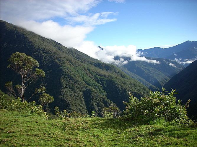 Desde Kakapi